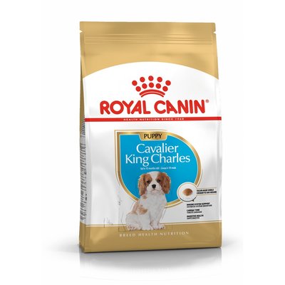 Храна Royal Canin BHN Cavalier King Charles Puppy - 1,5 кг 00000002527 снимка