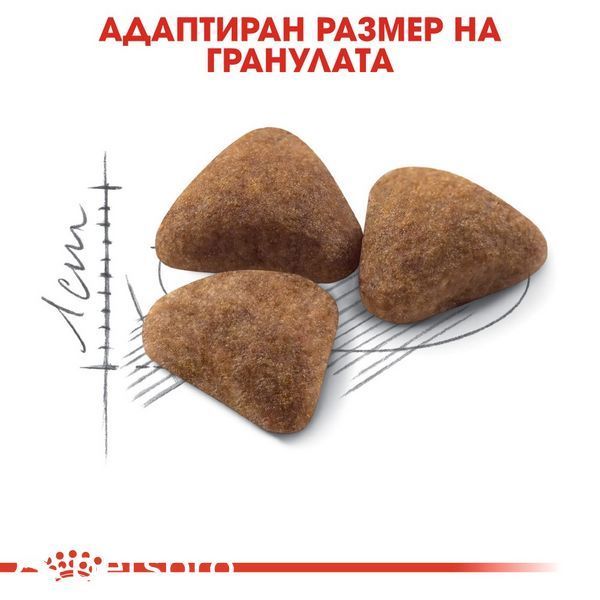 Храна Royal Canin FHN Indoor 27, 400 гр 00000002663 снимка