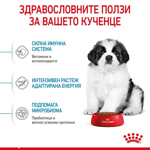 Храна Royal Canin SHN Puppy - Giant, 15 кг 00000002739 снимка