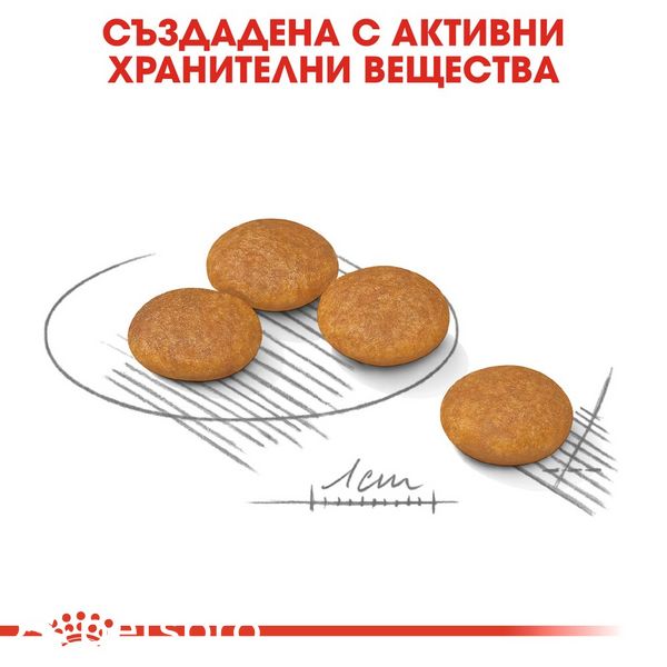 Храна Royal Canin CCN Mini Dermacomfort, 1 кг 00000002588 снимка