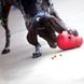 Играчка Kong Wobbler, L 00000009888 снимка 2