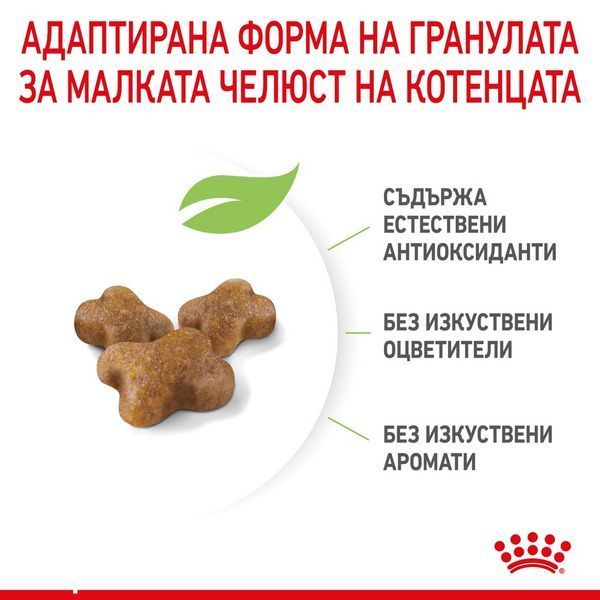 Храна Royal Canin FHN Kitten, 10 кг 00000002672 снимка
