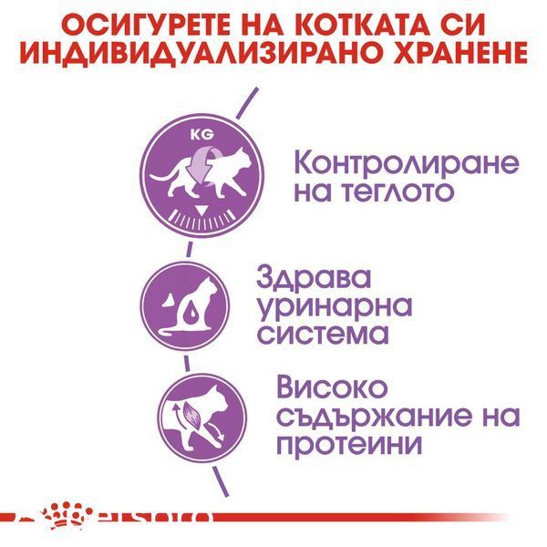 Храна Royal Canin FHN Sterilised 37, 400 гр 00000002699 снимка