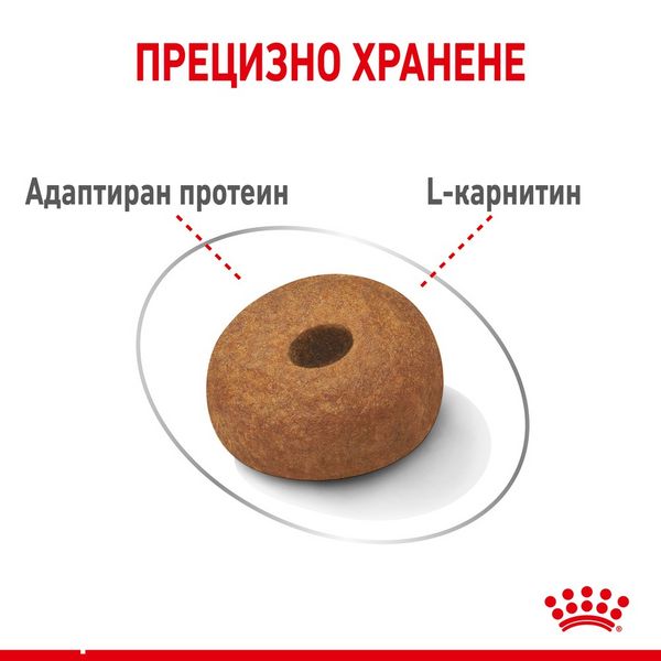 Храна Royal Canin CCN Maxi light weight care, 12 кг 00000002580 снимка