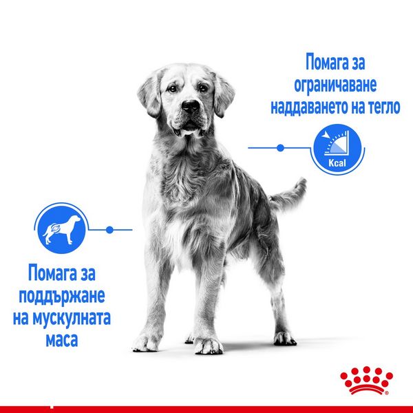 Храна Royal Canin CCN Maxi light weight care, 12 кг 00000002580 снимка