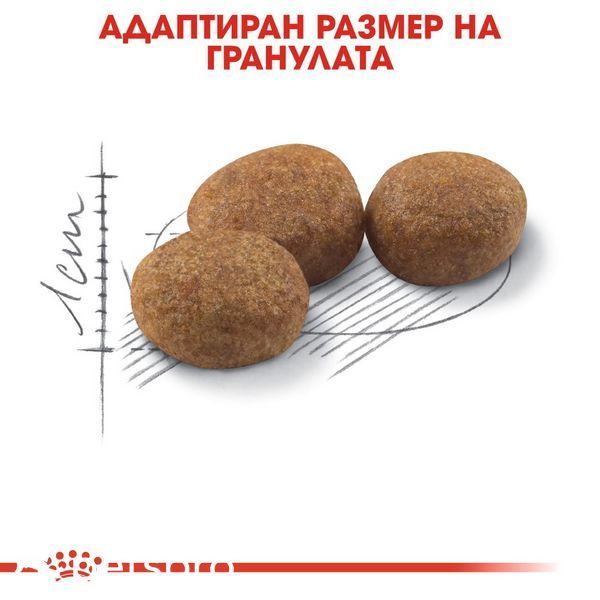 Храна Royal Canin FHN Sterilised 37, 400 гр 00000002699 снимка