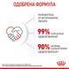 Храна Royal Canin FHN Kitten, 10 кг 00000002672 снимка 4