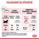Храна Royal Canin FHN Kitten, 10 кг 00000002672 снимка 5
