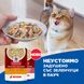 Мокра храна Hill's Science Plan Stew Adult Sterilized Cat Healthy Cuisine Chicken - 12x85 гр 00000003599 снимка 4