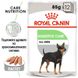 Пастет Royal Canin CCN Digestive Care Loaf , 12x85 гр 00000002772 снимка 2