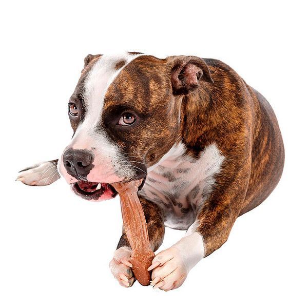 Играчка Ferplast Goodbite Natural Beef Bone - 2 бр, S 00000008352 снимка