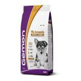 Суха храна Gemon Dog Medium & Maxi Junior Chicken & Rice - 15 кг 00000004189 снимка