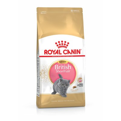Храна Royal Canin FBN British Shorthair Kitten, 400 гр 00000002610 снимка