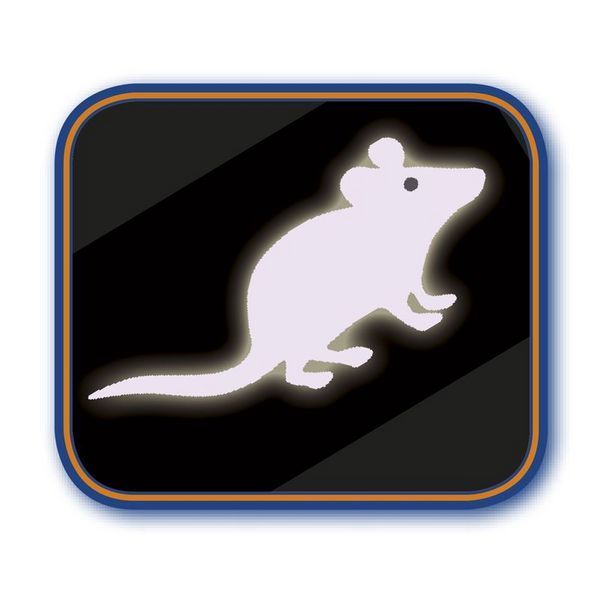 Играчка Nobby LED Pointer MOUSE 00000002388 снимка