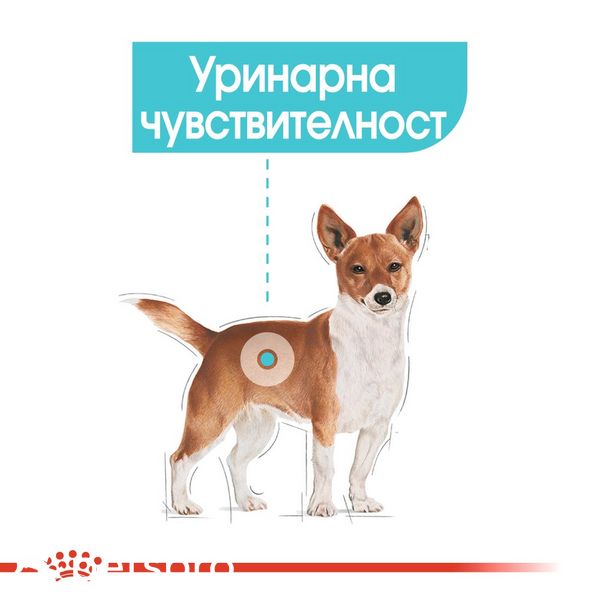 Храна Royal Canin CCN Mini Urinary Care, 1 кг 00000002602 снимка