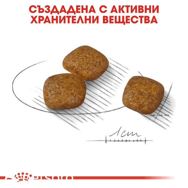 Храна Royal Canin CCN Mini Urinary Care, 1 кг 00000002602 снимка