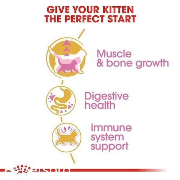 Храна Royal Canin FBN British Shorthair Kitten, 400 гр 00000002610 снимка