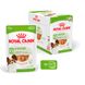 Пауч Royal Canin SHN X-Small Adult Pouch - 12x85 гр 00000007979 снимка 2