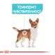 Пастет Royal Canin CCN Urinary Care Loaf , 12x85 гр 00000002775 снимка 2