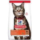 Сухой корм Hill's Science Plan Feline Adult Lamb, 300 гр 00000003672 фото