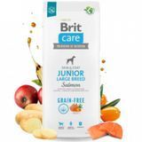 Суха храна Brit Grain-free Junior Large, 1 кг 00000005019 снимка