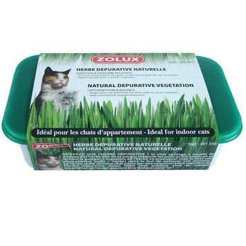 Лакомство Zolux Catnip для помощи пищеварению 00000006191 фото