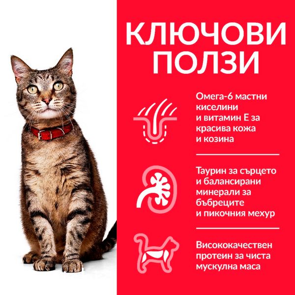 Суха храна Hill's Science Plan Feline Adult Lamb, 300 гр 00000003672 снимка