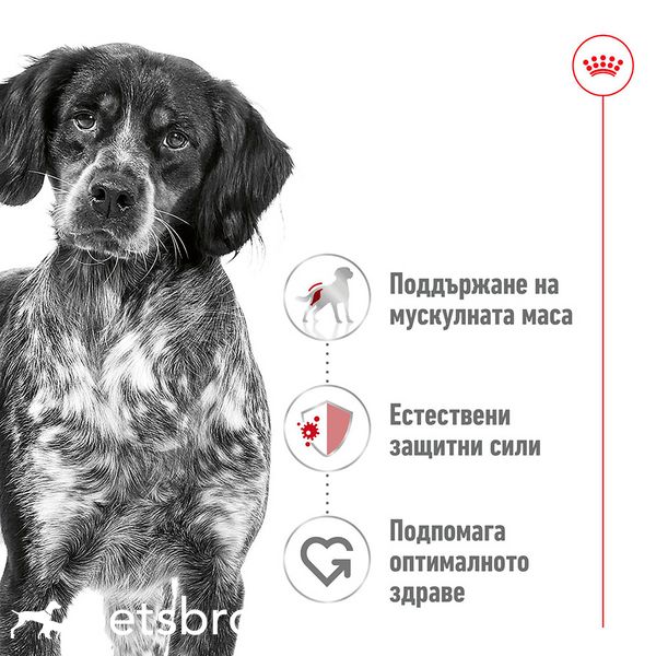 Мокра храна Royal Canin SHN Medium Adult Can - 410 гр 00000007977 снимка