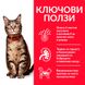 Суха храна Hill's Science Plan Feline Adult Lamb, 300 гр 00000003672 снимка 3