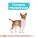 Храна Royal Canin CCN Mini Urinary Care, 3 кг 00000002603 снимка 2