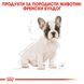 Храна Royal Canin BHN French Bulldog Puppy, 3 кг 00000002541 снимка 2