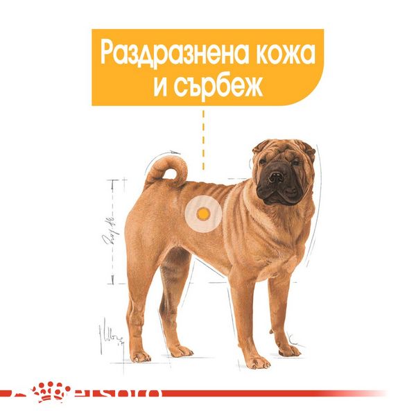 Храна Royal Canin CCN Medium Dermacomfort, 3 кг 00000002583 снимка