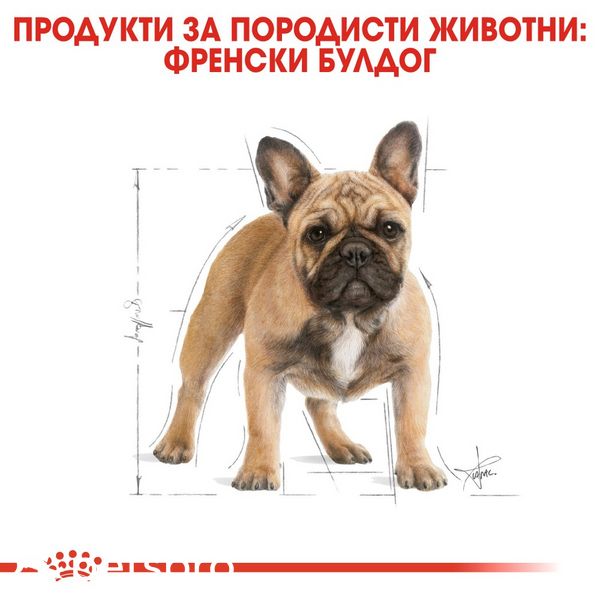 Храна Royal Canin BHN French Bulldog Adult, 3 кг 00000002538 снимка