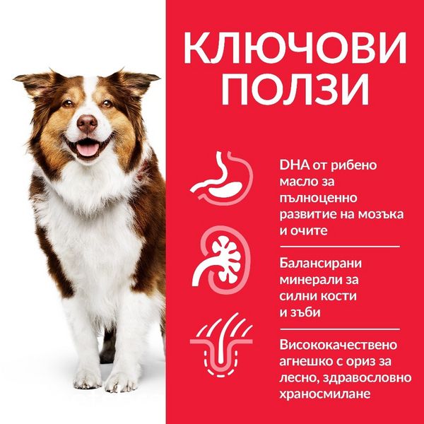 Суха храна Hill's Science Plan Canine Adult Mature Medium Lamb & Rice - 14 кг 00000003611 снимка