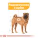 Храна Royal Canin CCN Medium Dermacomfort, 3 кг 00000002583 снимка 2
