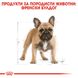 Храна Royal Canin BHN French Bulldog Adult, 3 кг 00000002538 снимка 2