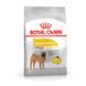 Храна Royal Canin CCN Medium Dermacomfort, 3 кг 00000002583 снимка 1