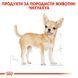 Паштет Royal Canin BHN Chihuahua Adult Pouch , 12x85 гр 00000002768 фото 3
