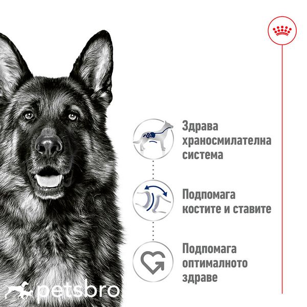 Мокра храна Royal Canin SHN Maxi Adult Can - 410 гр 00000007976 снимка