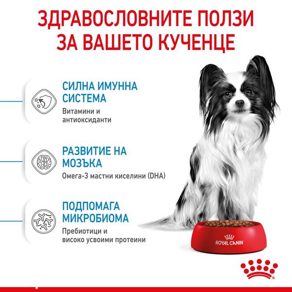 Храна Royal Canin SHN Puppy - X-Small, 1,5 кг 00000002750 снимка