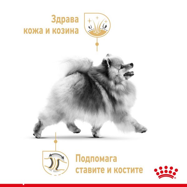 Пастет Royal Canin BHN Pomeranian Pouch , 12x85 гр 00000002769 снимка