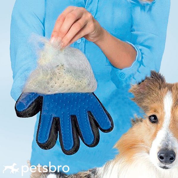 Ръкавица Record Rubber for dogs and cats Blue 00000007527 снимка