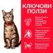 Сухой корм Hill's Science Plan Feline Adult Lamb, 10 кг 00000003674 фото 3