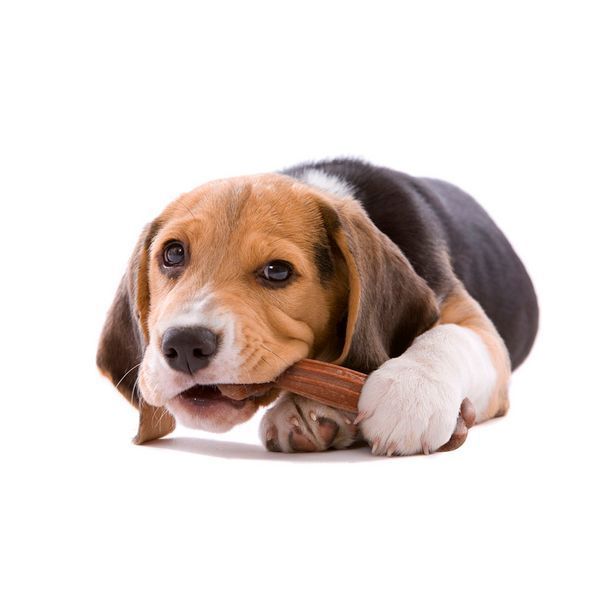 Играчка Ferplast Goodbite Natural Ham Bone - 2 бр, S 00000008370 снимка