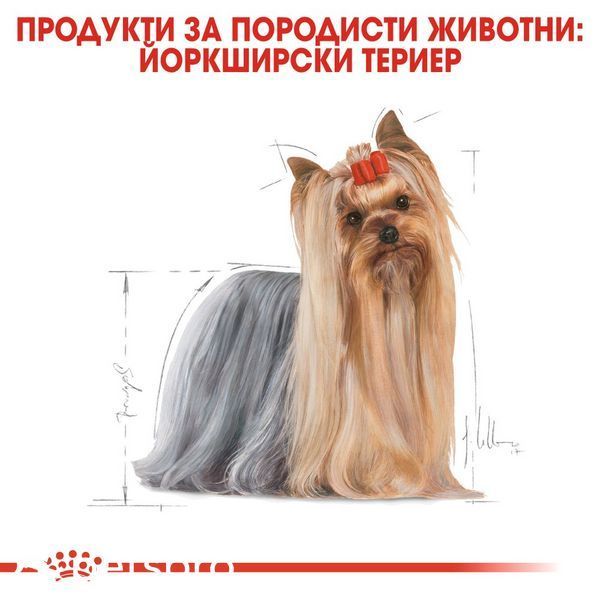 Паштет Royal Canin BHN Yorkshire Terrier Adult Pouch , 12x85 гр 00000002770 фото