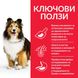 Суха храна Hill's Science Plan Canine Adult Sensitive Stomach & Skin, 2,5 кг 00000003631 снимка 2
