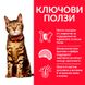 Суха храна Hill's Science Plan Feline Adult Light Chicken, 1,5 кг 00000003675 снимка 3