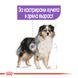 Храна Royal Canin CCN Medium Sterilised - 12 кг 00000002585 снимка 2