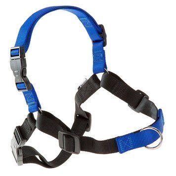 Шлея Ferplast Coach Harness Blue, M-L 00000004725 фото