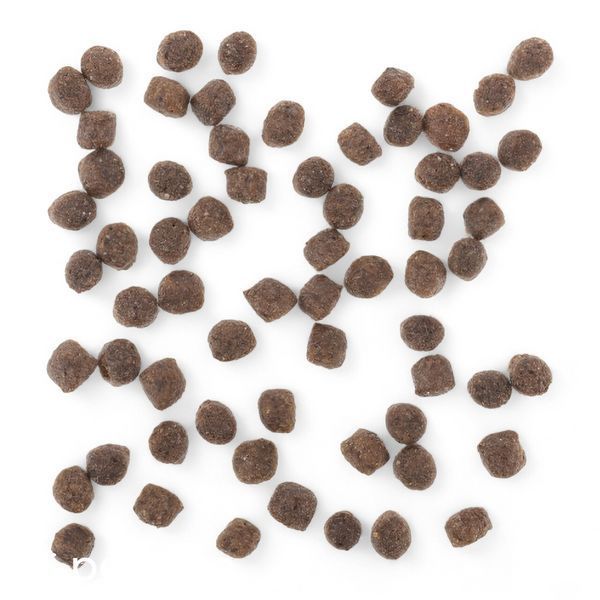 Сухой Корм Wolfsblut Range Lamb Small Bread Adult - 7,5 кг 00000009082 фото